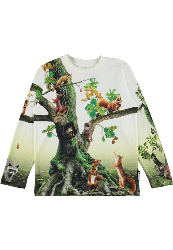 Molo maglia stampa foresta con scoiattoli
