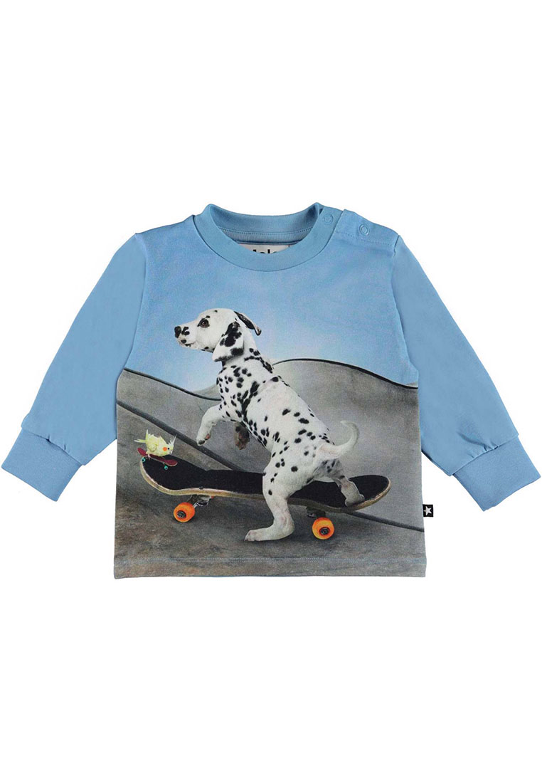 Molo felpa blu con stampa cane su skate